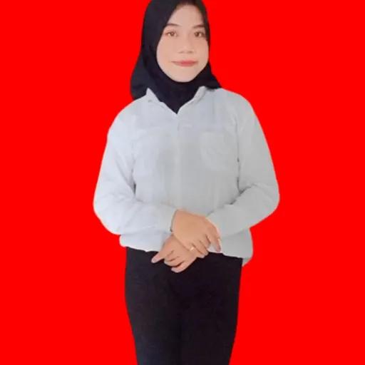 Profil CV Aulya Putri Nuraini